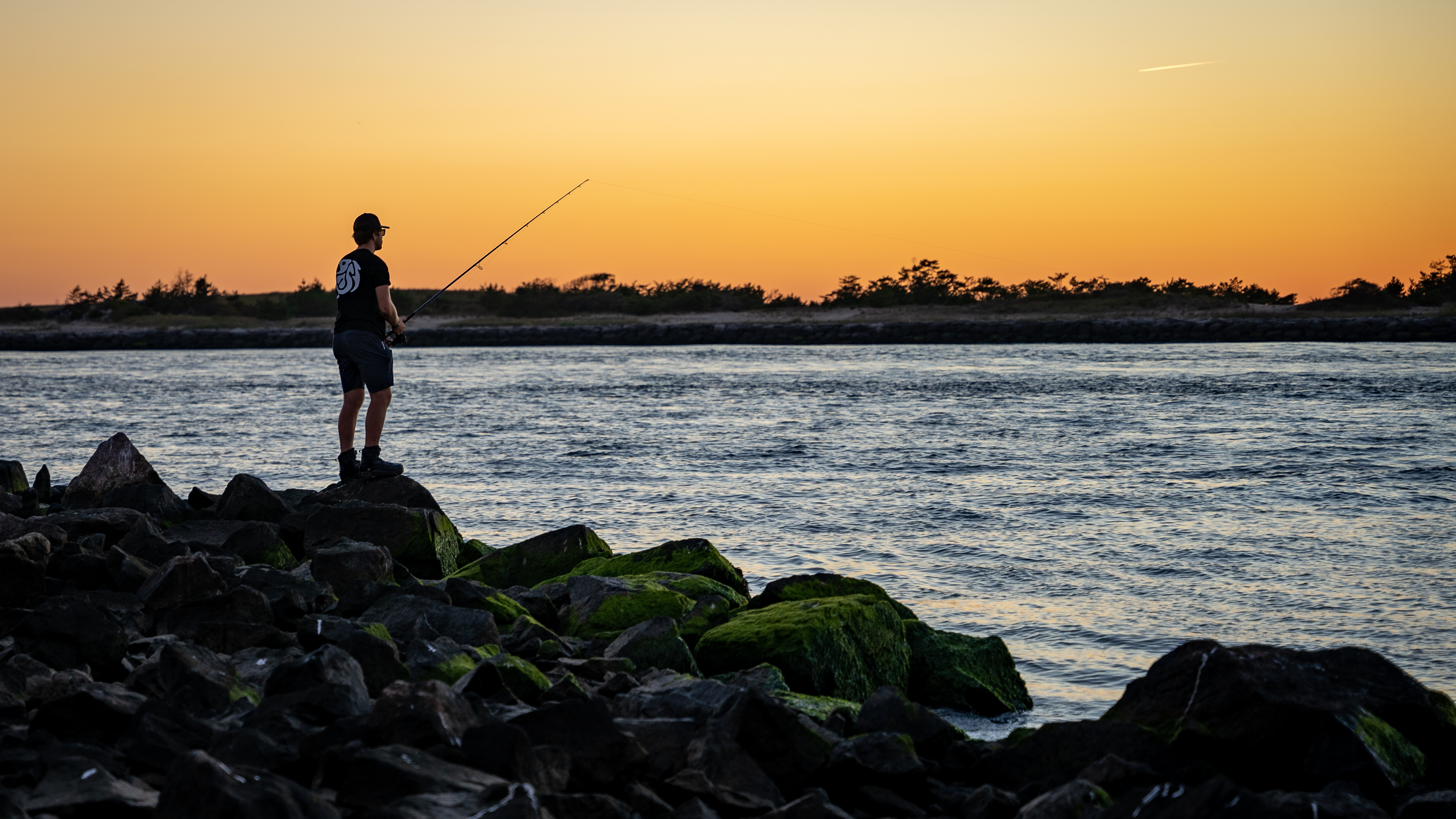 Dark Matter product image