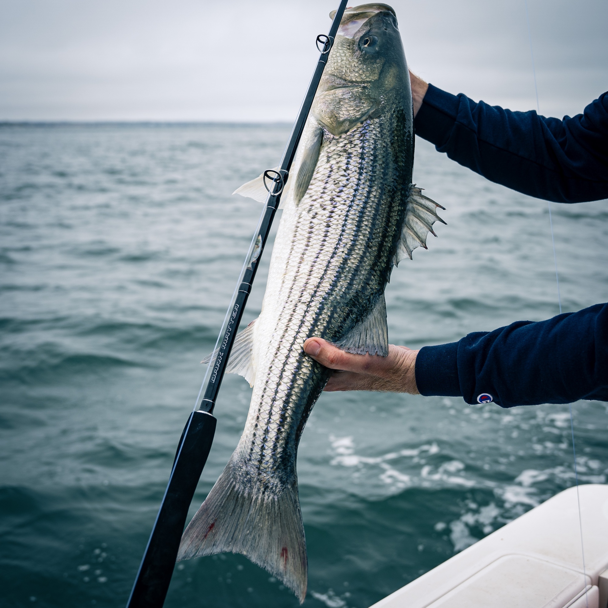 best rod and reel for sea bass fishing Elite Casting & Combo | Premium Freshwater Bass Fishing Best Fluke Fishing