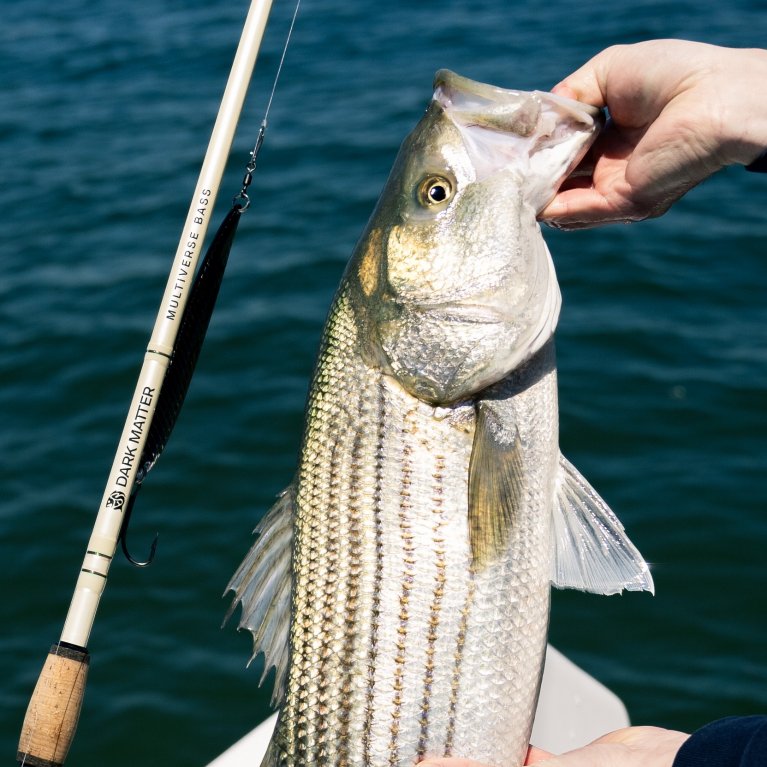 Dark Matter Multiverse Bass Casting Rods