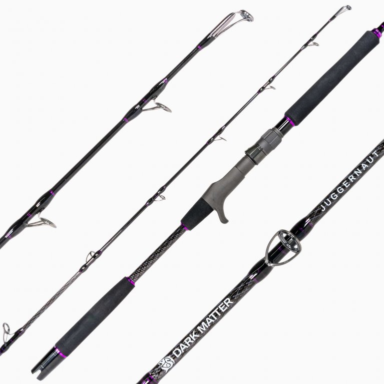 Dark Matter Juggernaut Jigging Casting Rods