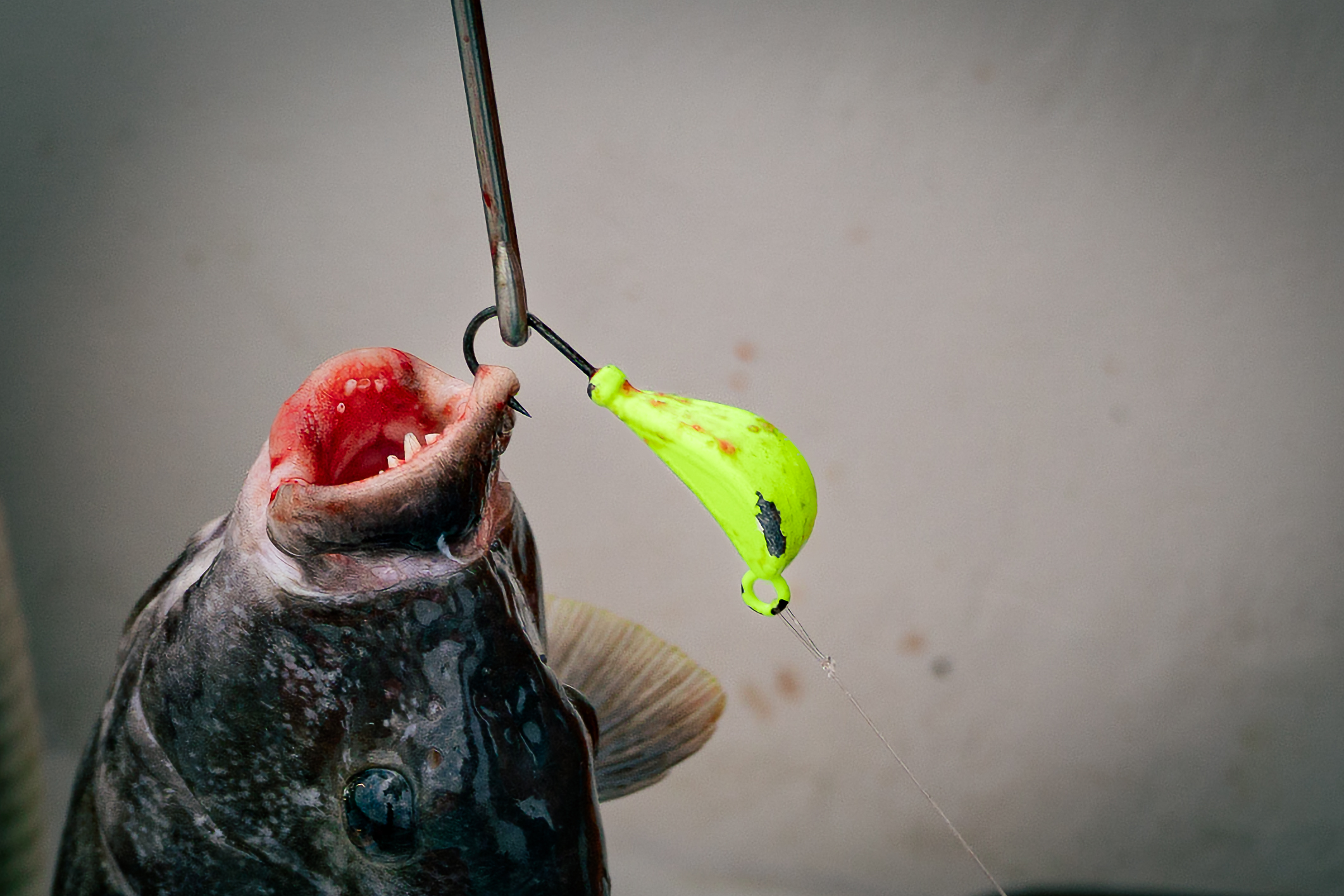 Dark Matter John Skinner Blackfish Jigs