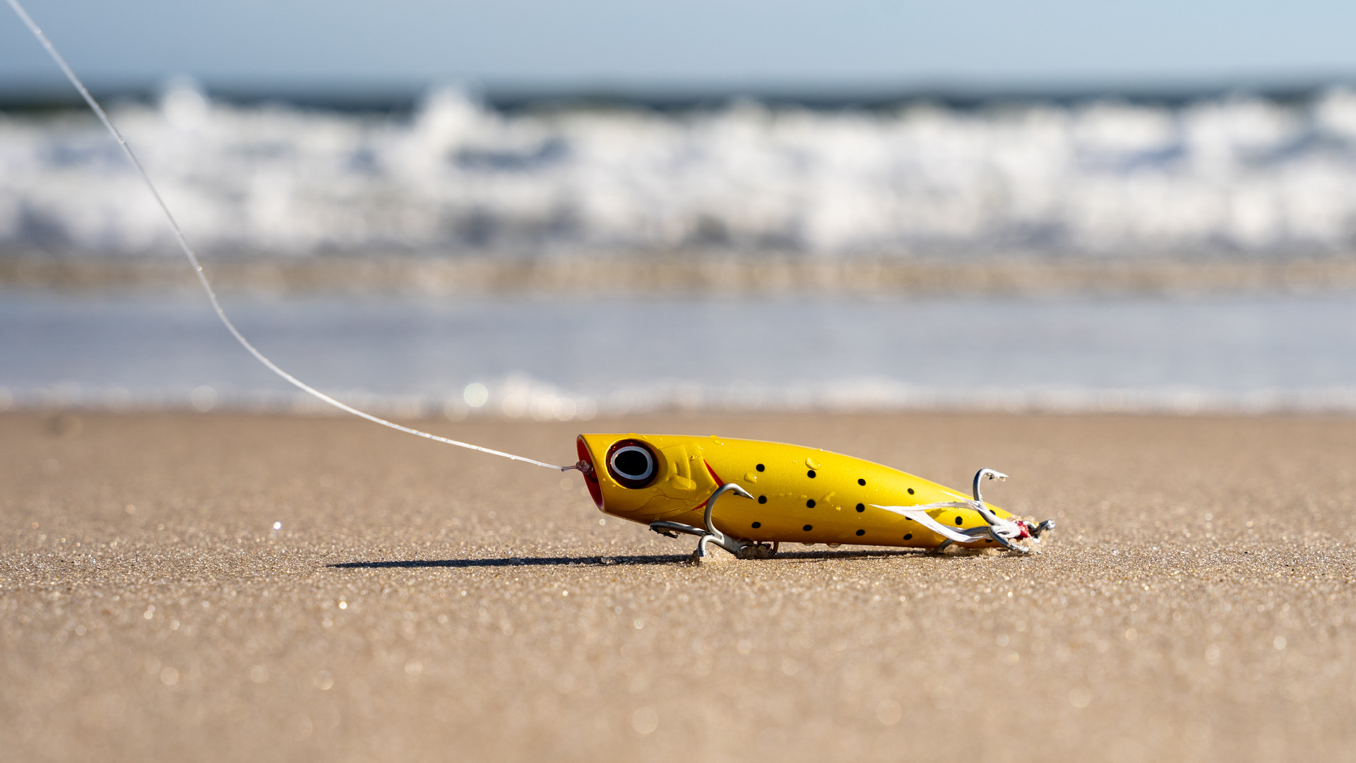 Fishing Lures for Saltwater and Freshwater Fishing